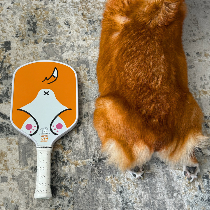 Corgi Paddle